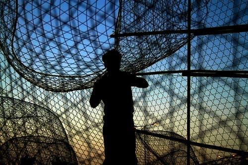 Giấc mơ thấy kéo lưới bắt cá đánh con gì phát tài?